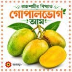 রাজশাহীর বিখ্যাত গোপালভোগ আম