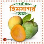 সাতক্ষীরার হিমসাগর আম