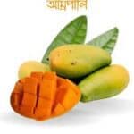 রাজশাহীর বিখ্যাত ল্যাংড়া আম