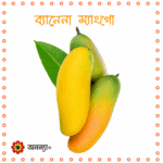 ব্যানানা ম্যাংগো