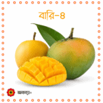 বারি-৪ জাতের আম