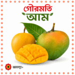 গৌড়মতি আম