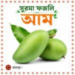 সুরমা ফজলি আম